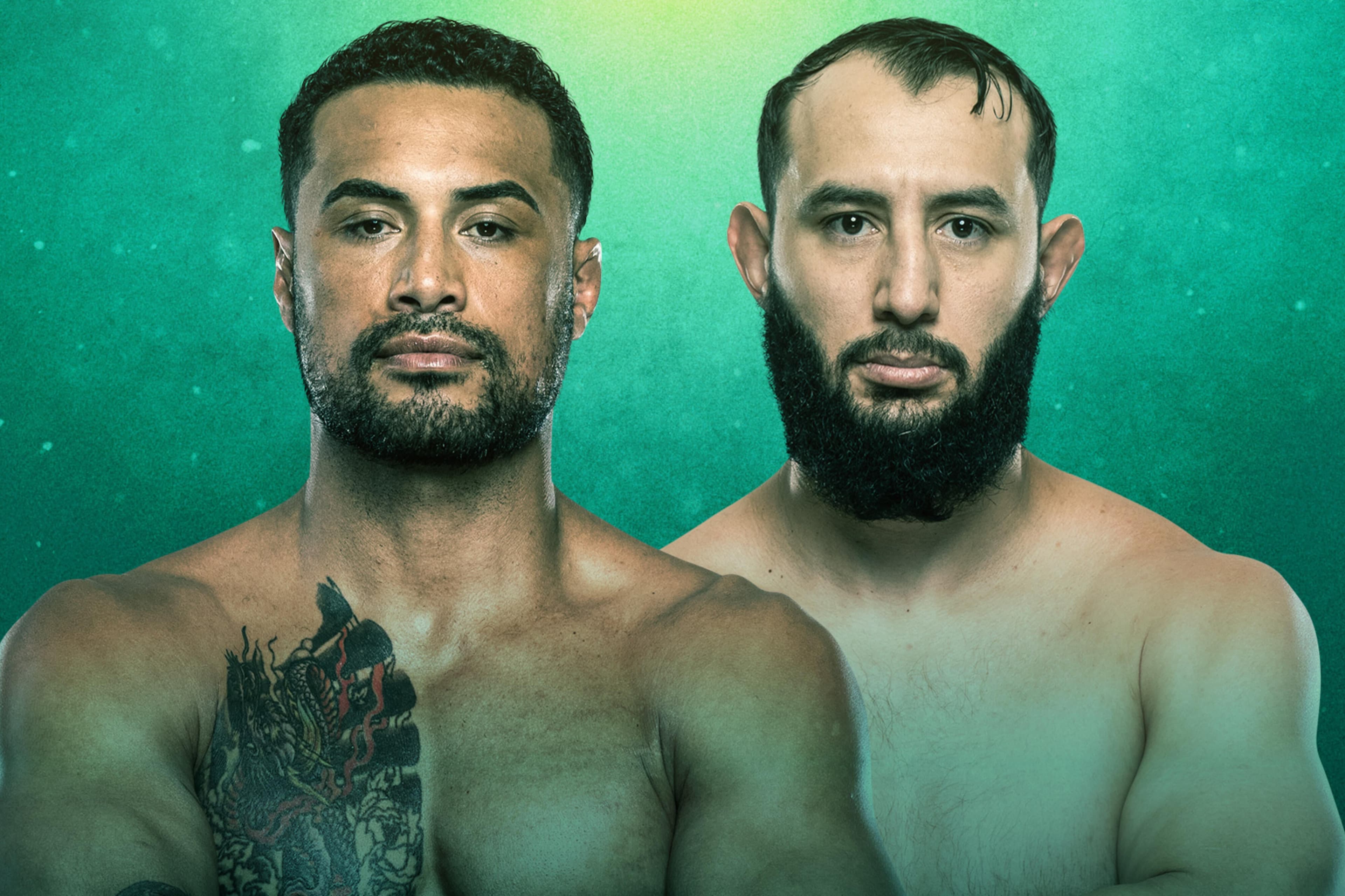 UFC Fight Night: Ulberg vs. Reyes event art