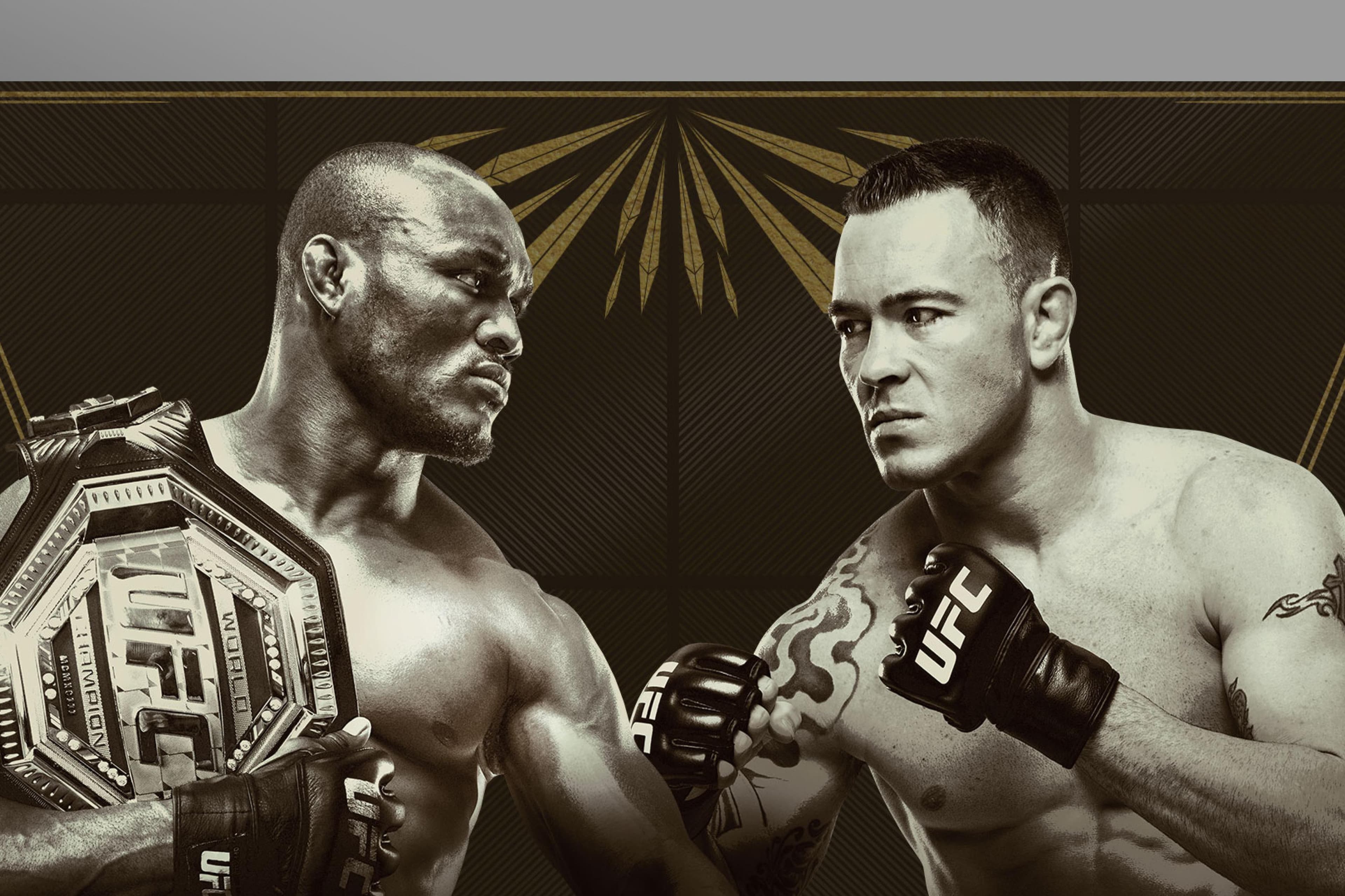 UFC 245: Usman vs. Covington event art