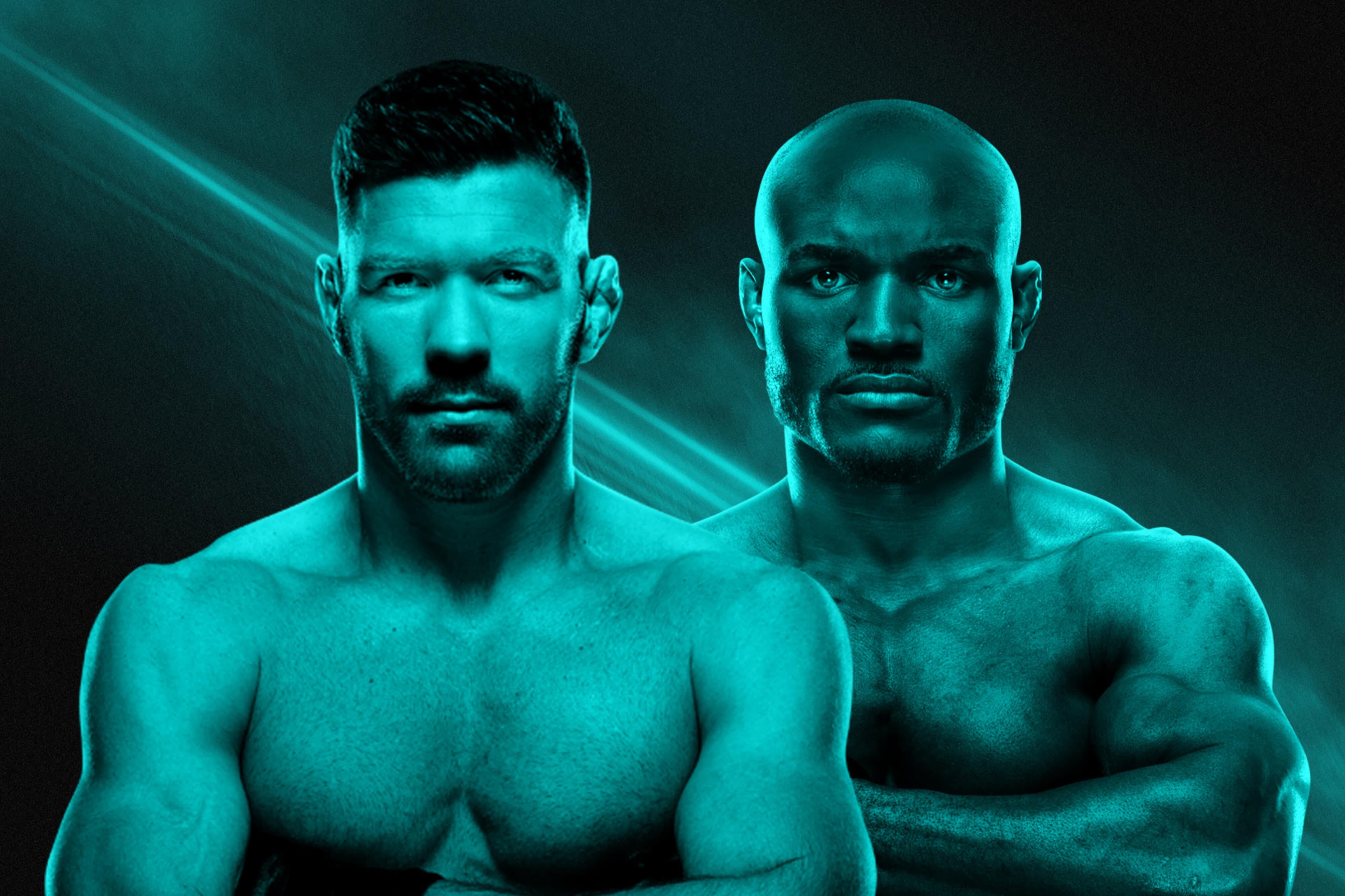 UFC Fight Night: Du Plessis vs. Usman event art
