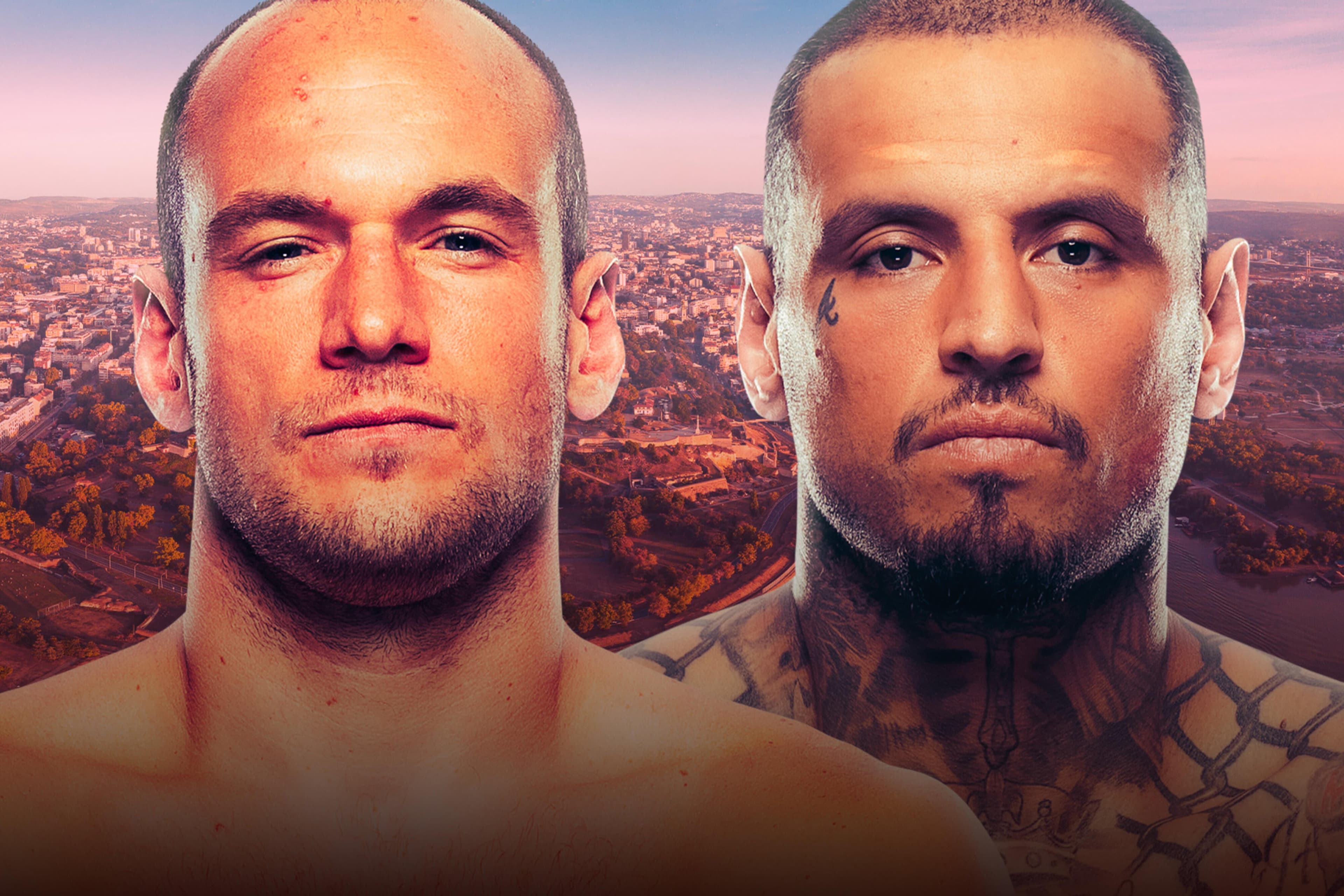 UFC Fight Night: Medic vs. Rodriguez event art