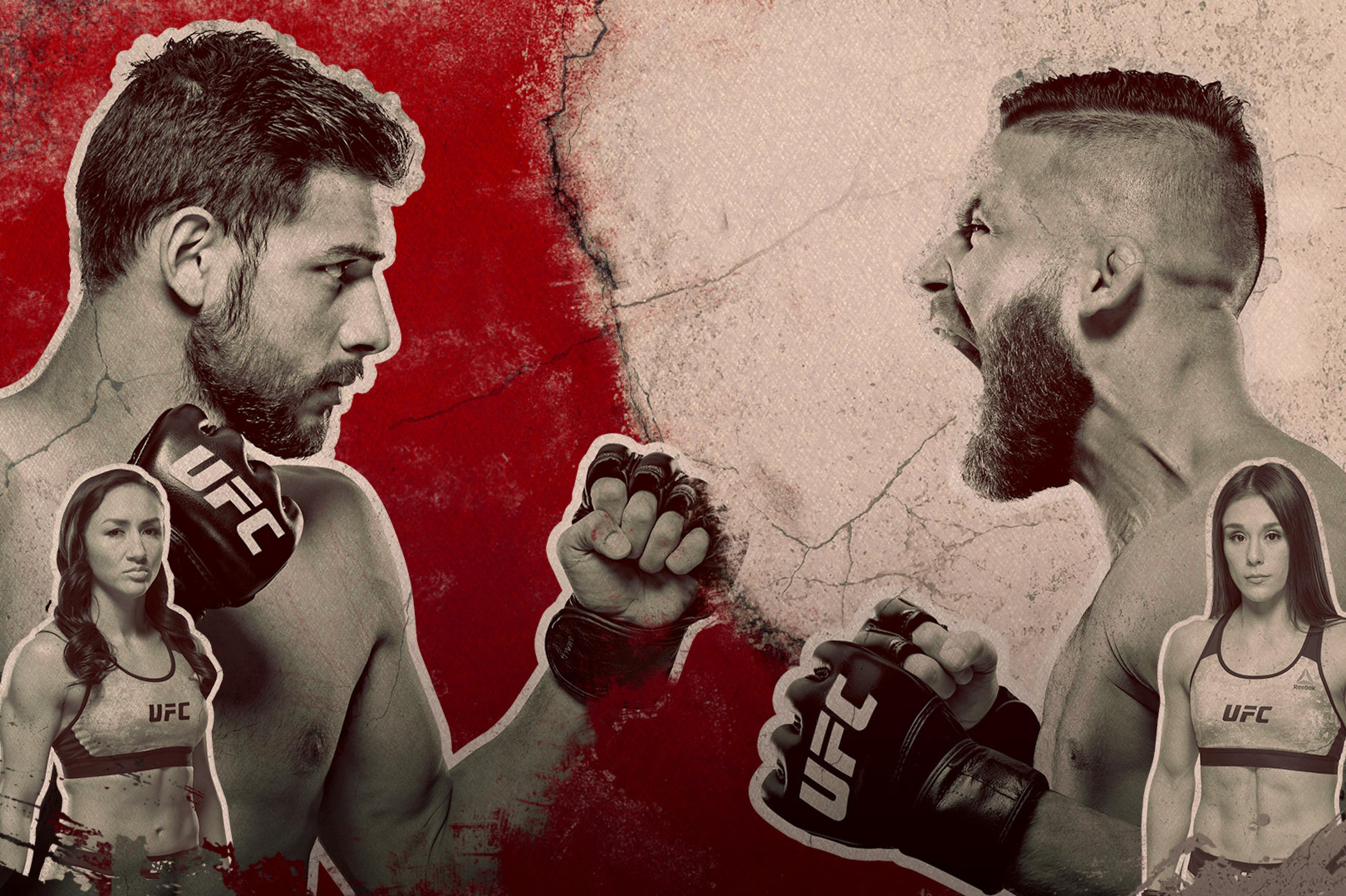 UFC Fight Night: Rodriguez vs. Stephens event art