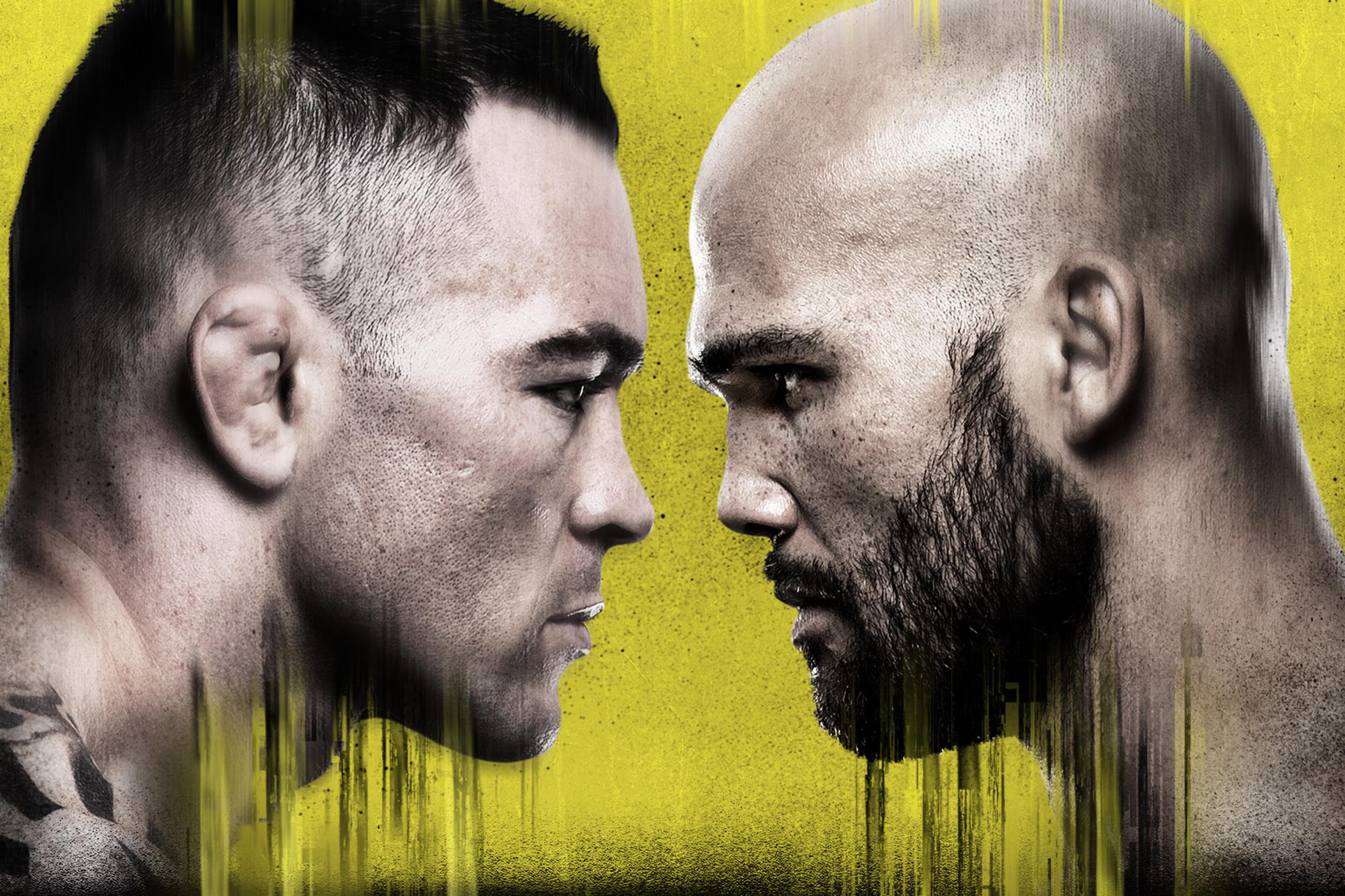 UFC Fight Night: Covington vs. Lawler event art