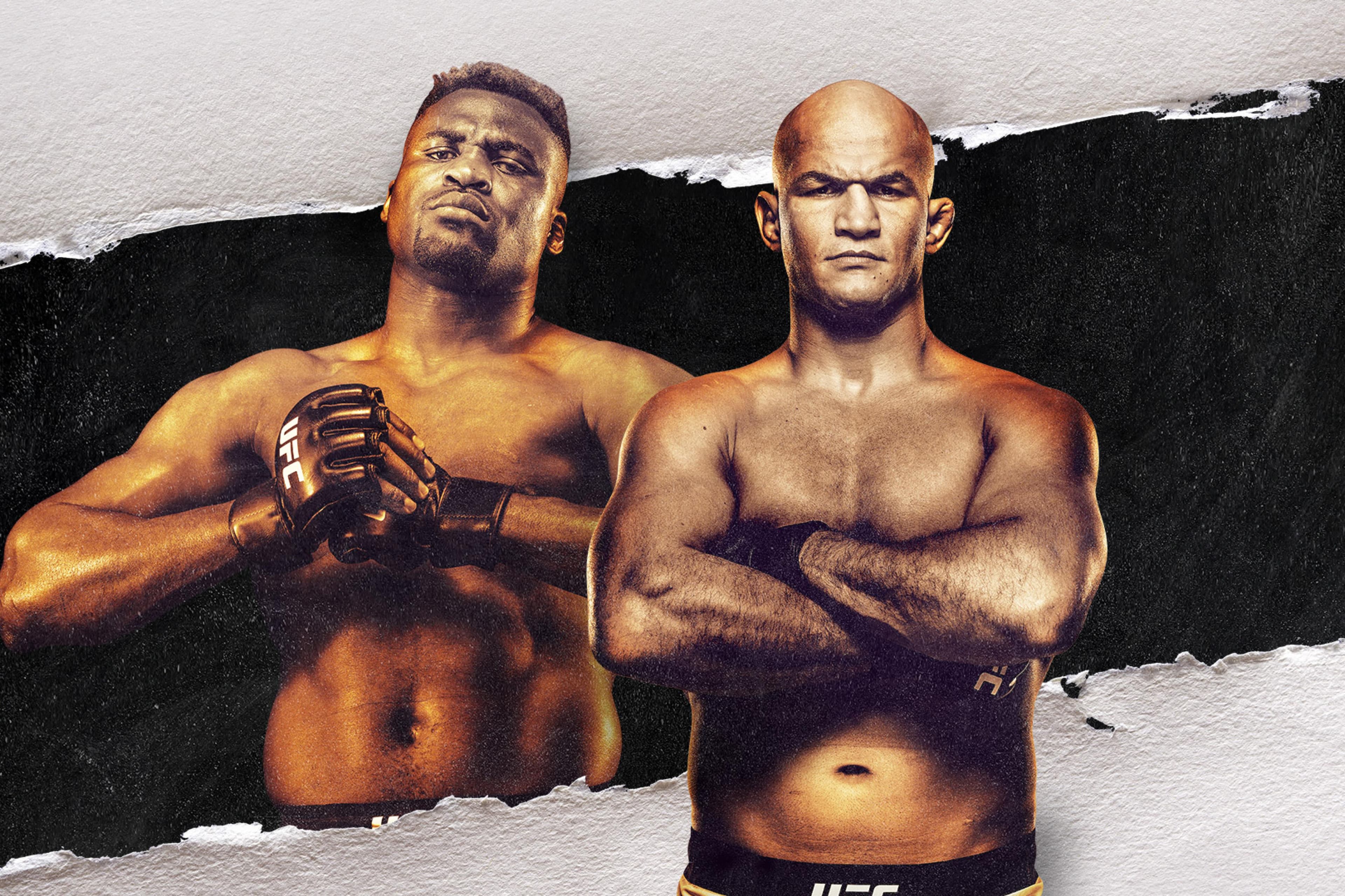 UFC Fight Night: Ngannou vs. Dos Santos event art
