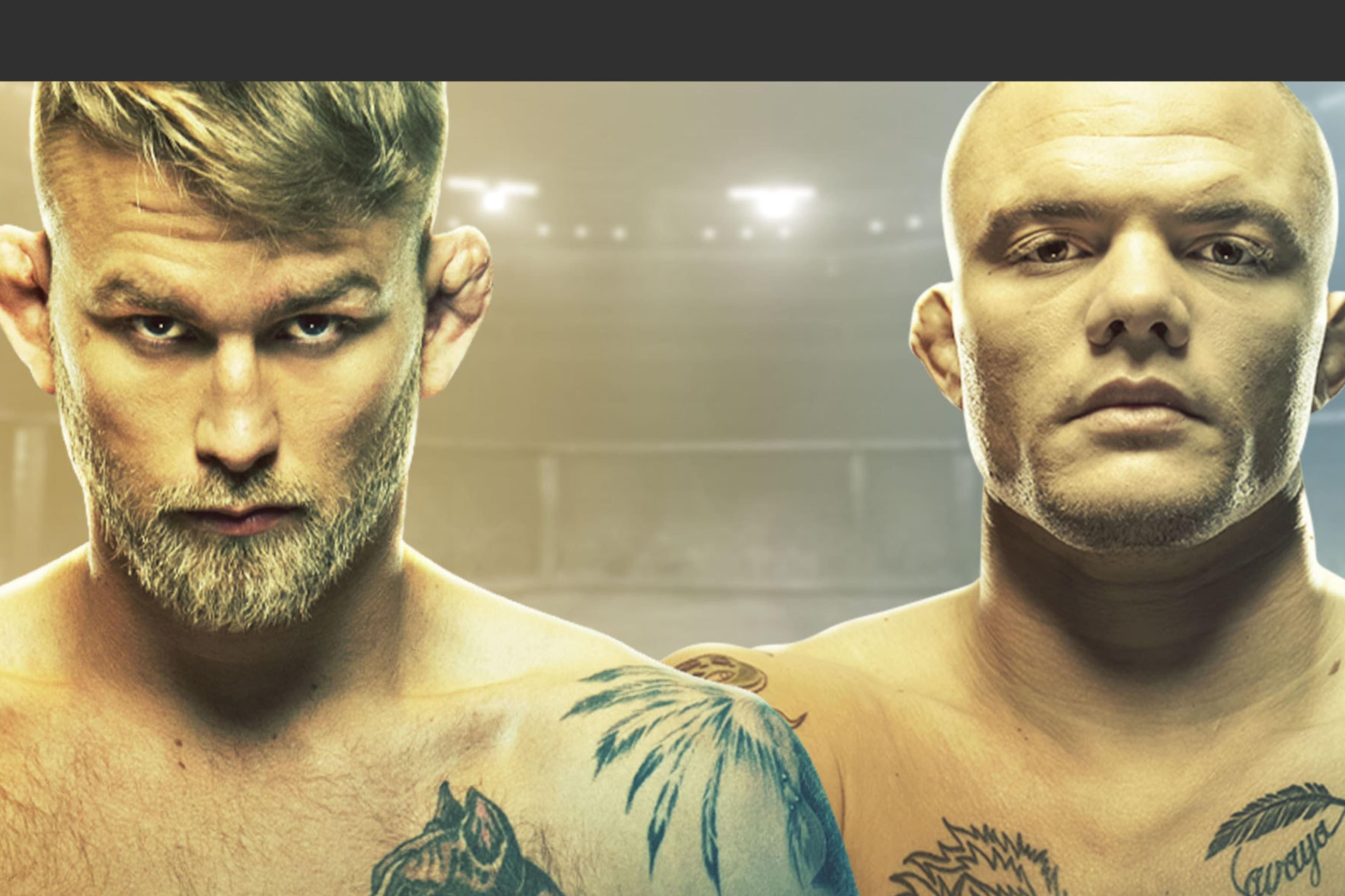 UFC Fight Night: Gustafsson vs. Smith event art