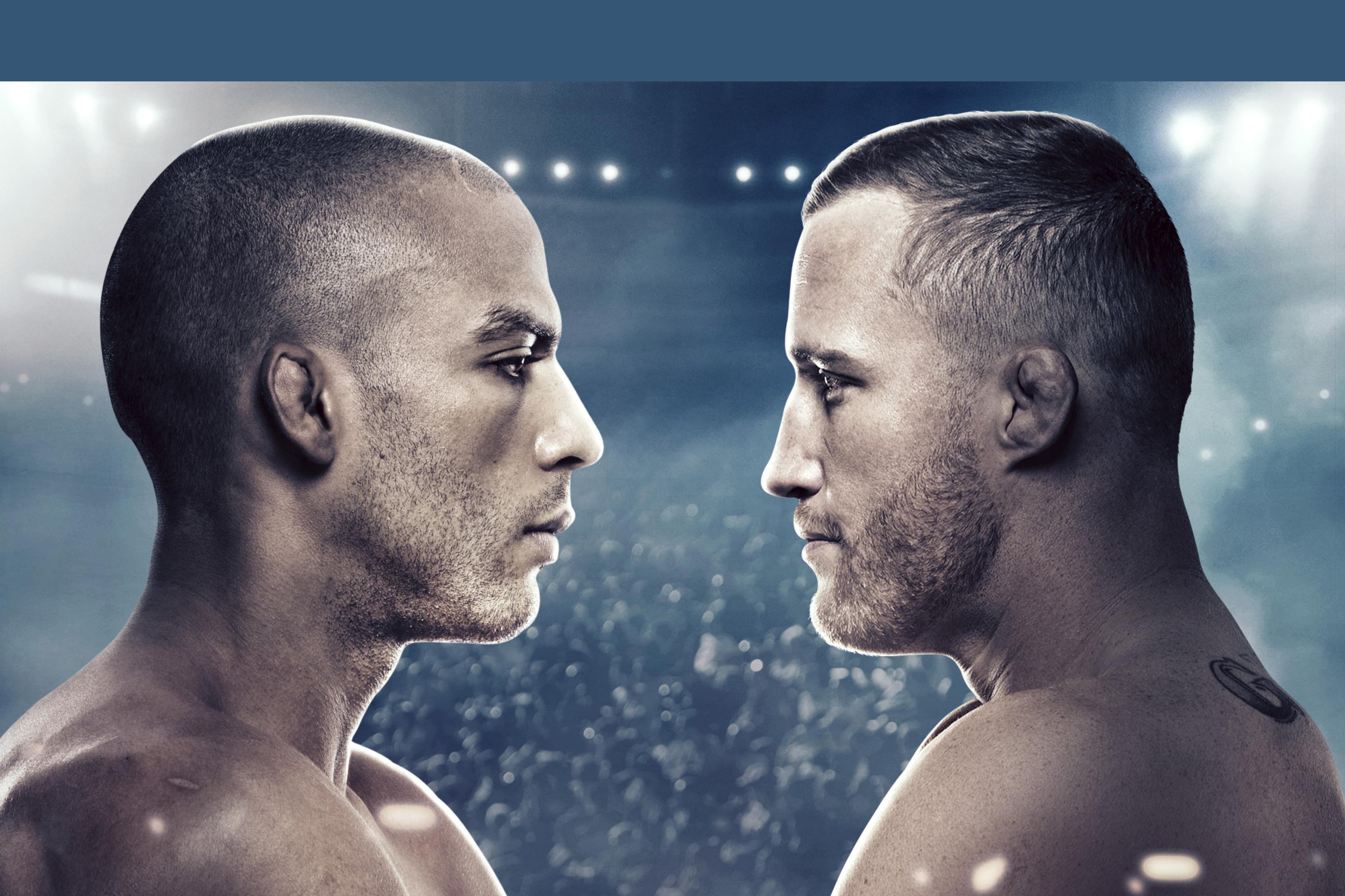 UFC Fight Night: Barboza vs. Gaethje event art