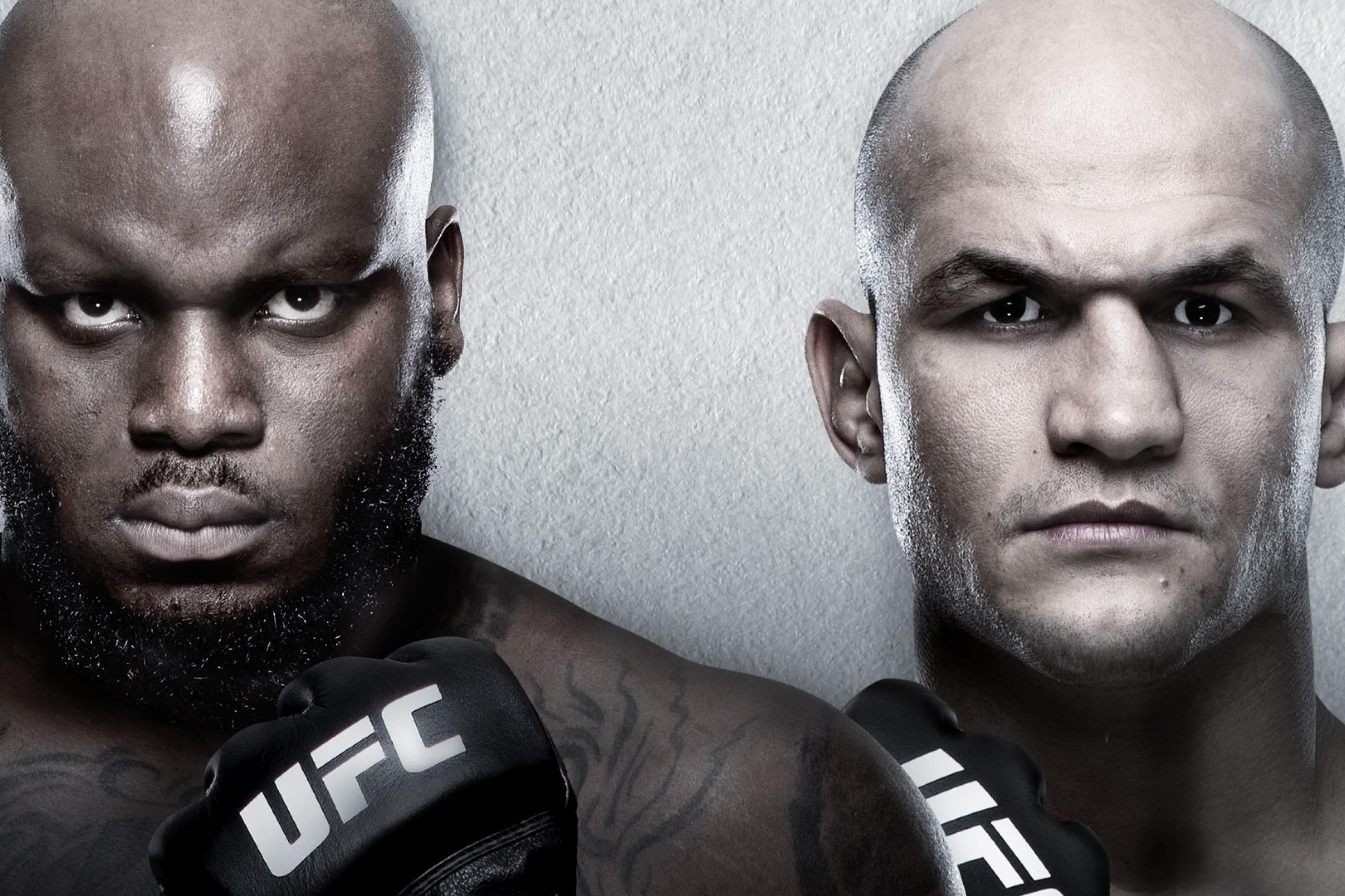 UFC Fight Night: Lewis vs. Dos Santos event art
