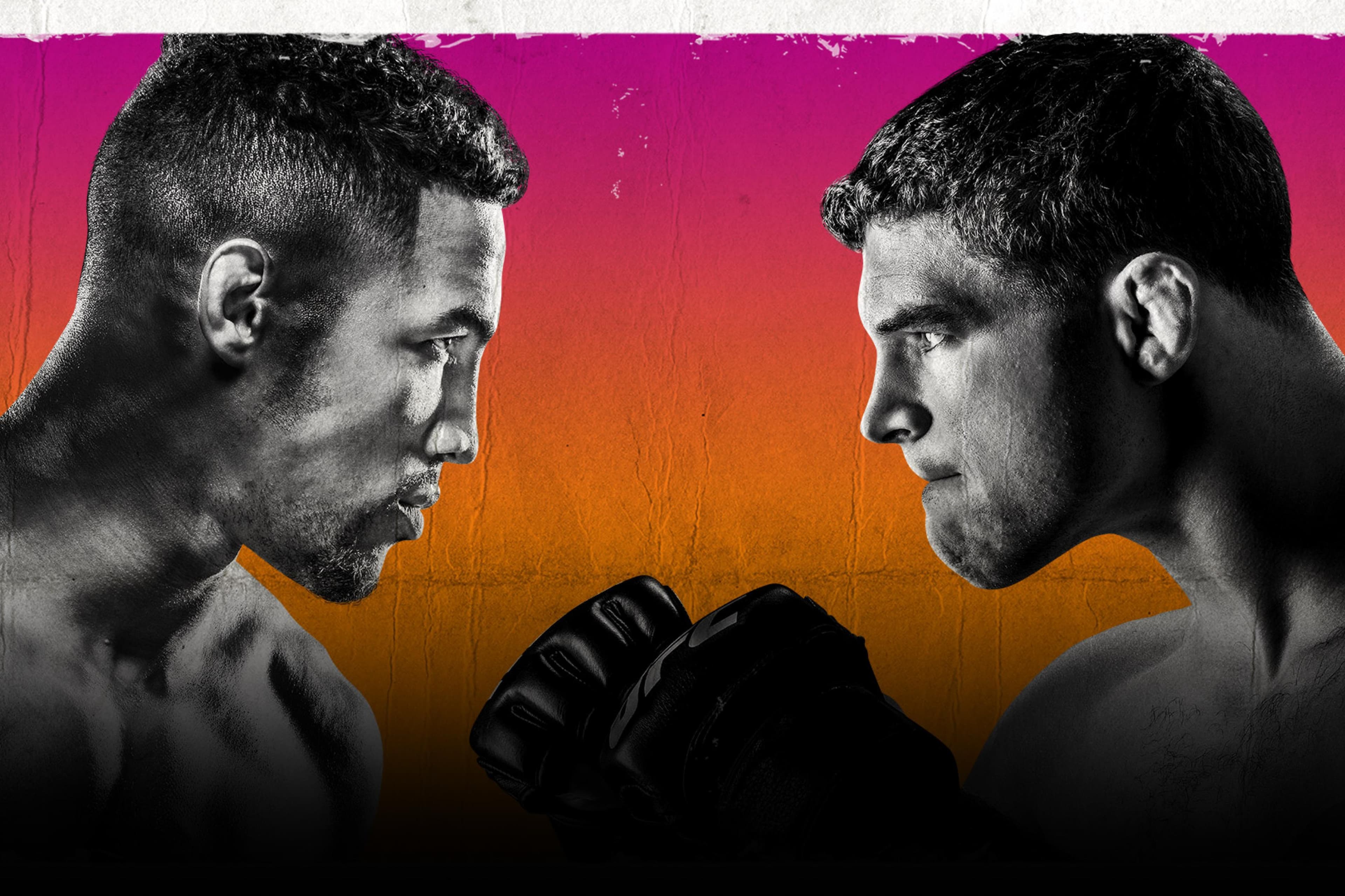 UFC Fight Night: Lee vs. Iaquinta event art