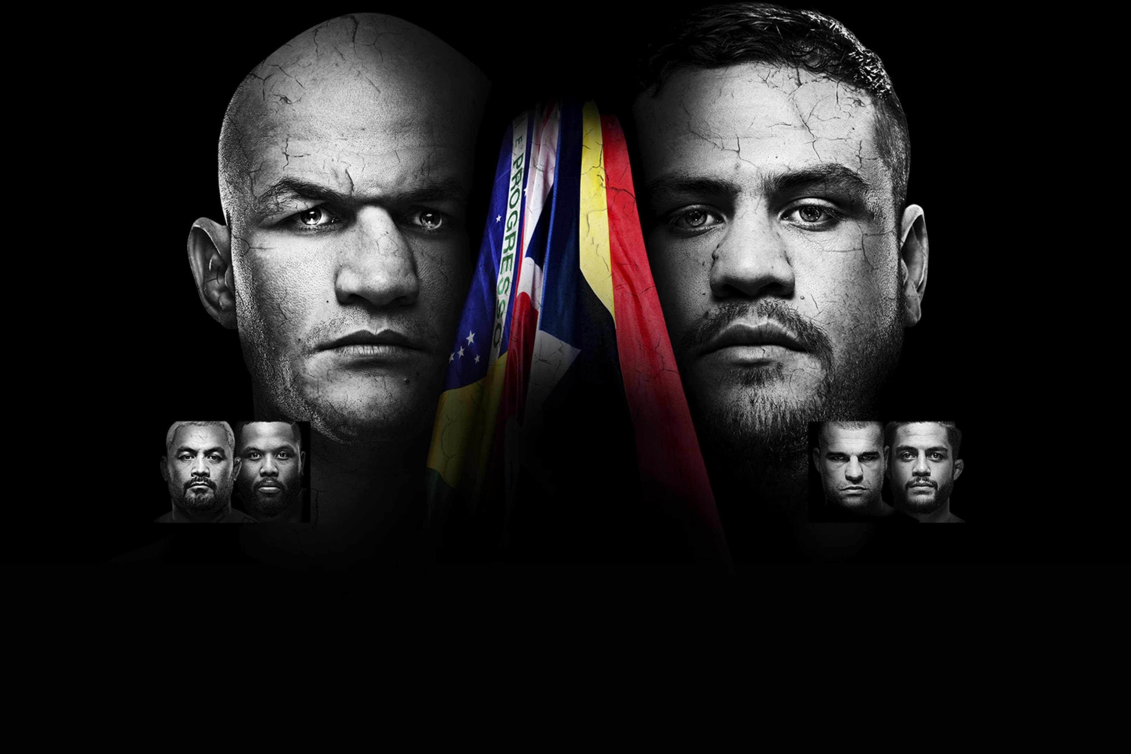 UFC Fight Night: Dos Santos vs. Tuivasa event art