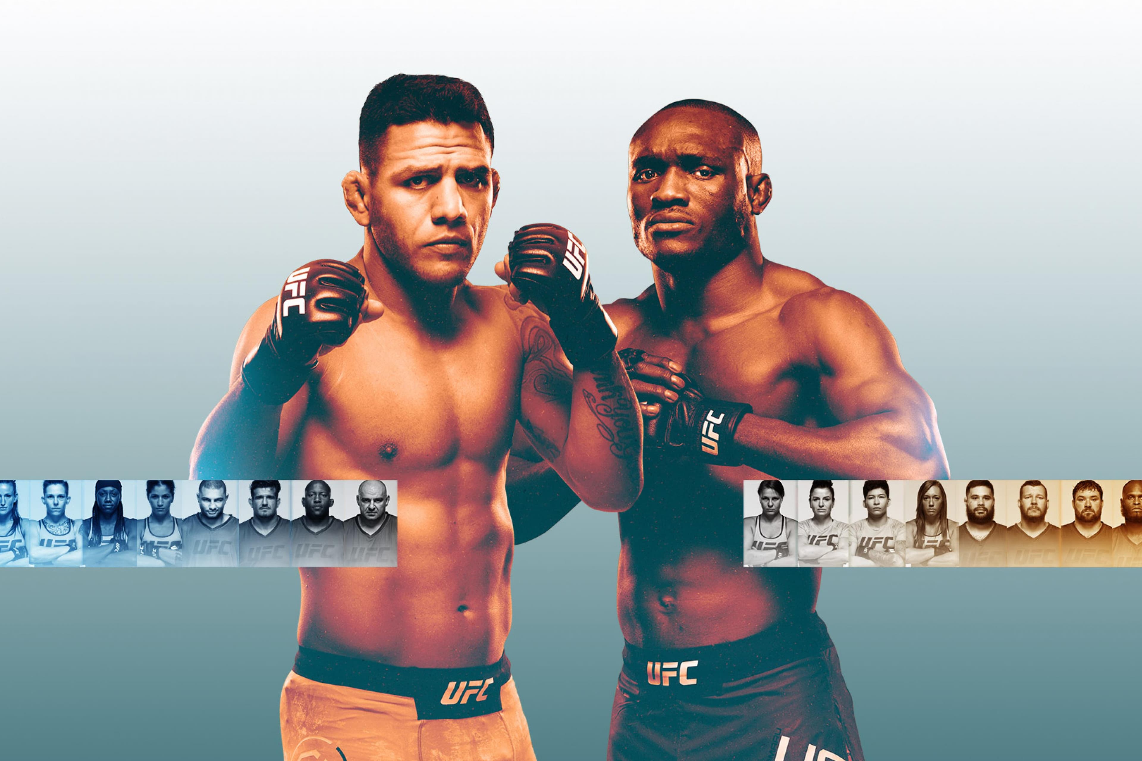 The Ultimate Fighter: Heavy Hitters Finale event art