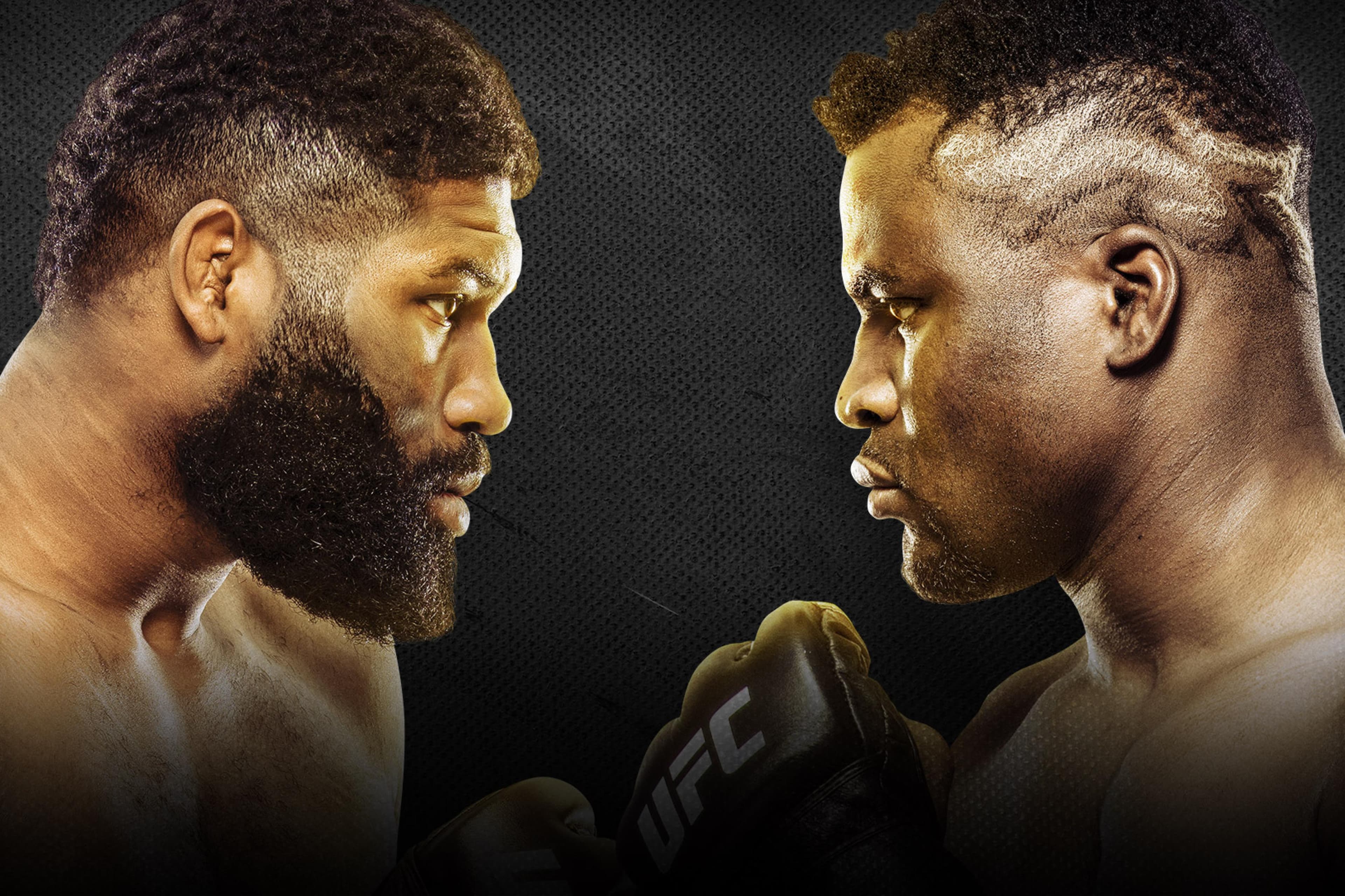UFC Fight Night: Blaydes vs. Ngannou 2 event art