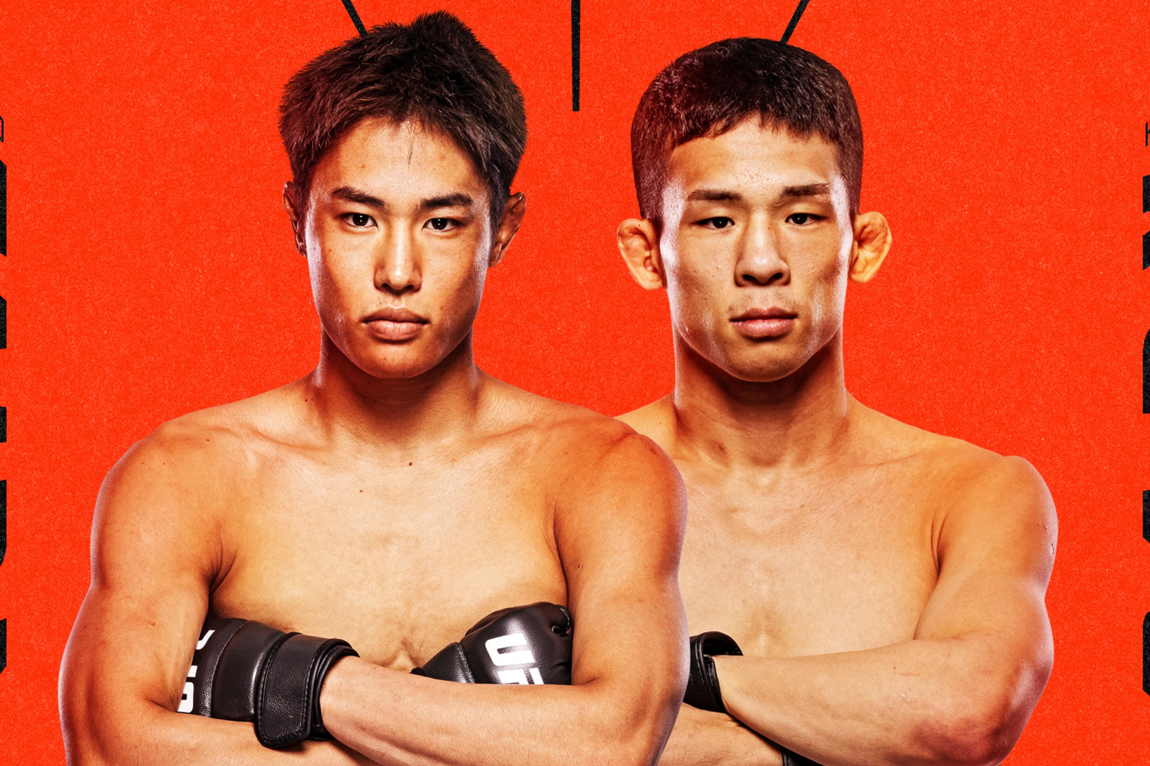 UFC Fight Night: Taira vs. Park event art