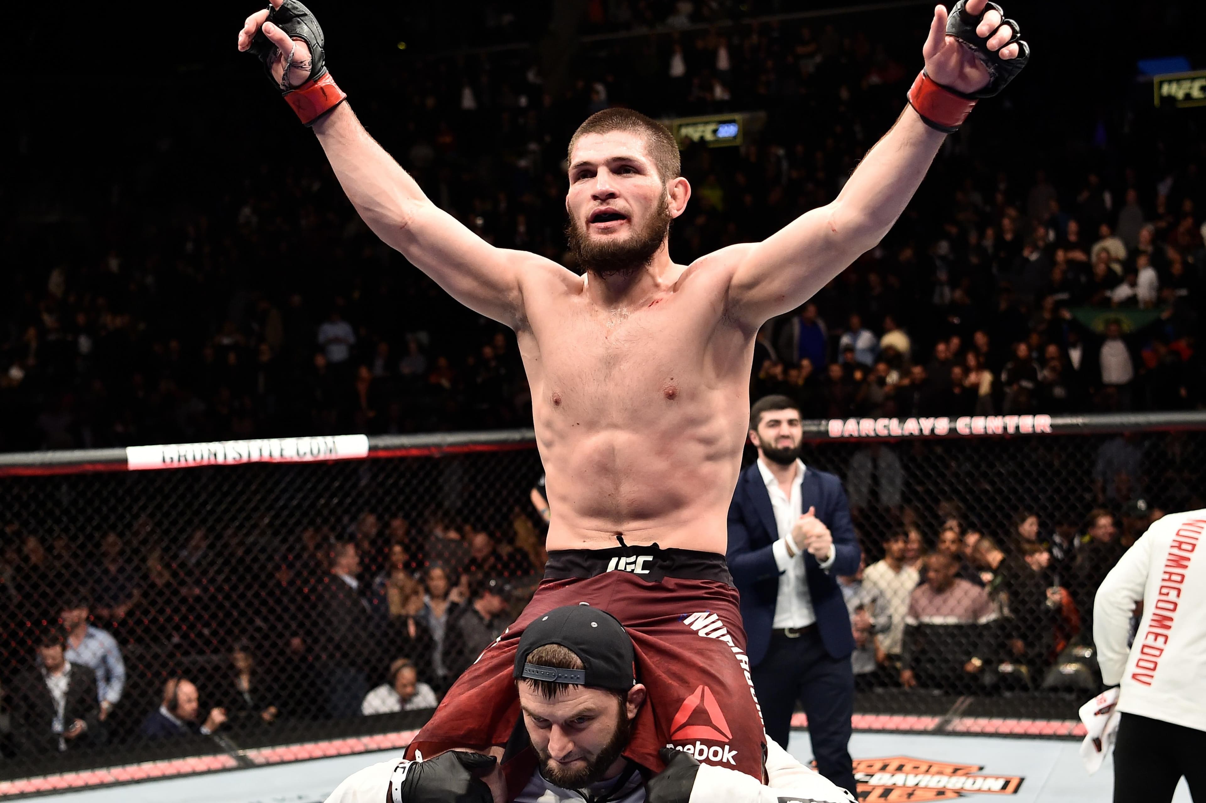 UFC 223: Khabib vs. Iaquinta event art