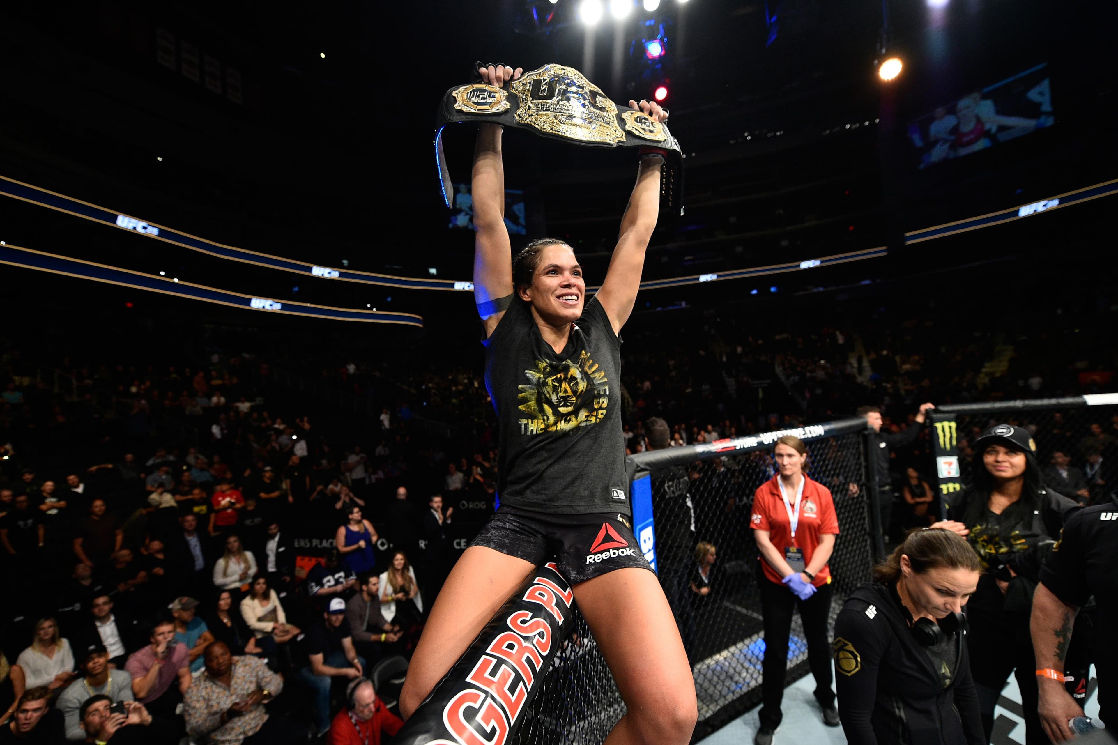 UFC 215: Nunes vs Shevchenko 2 event art