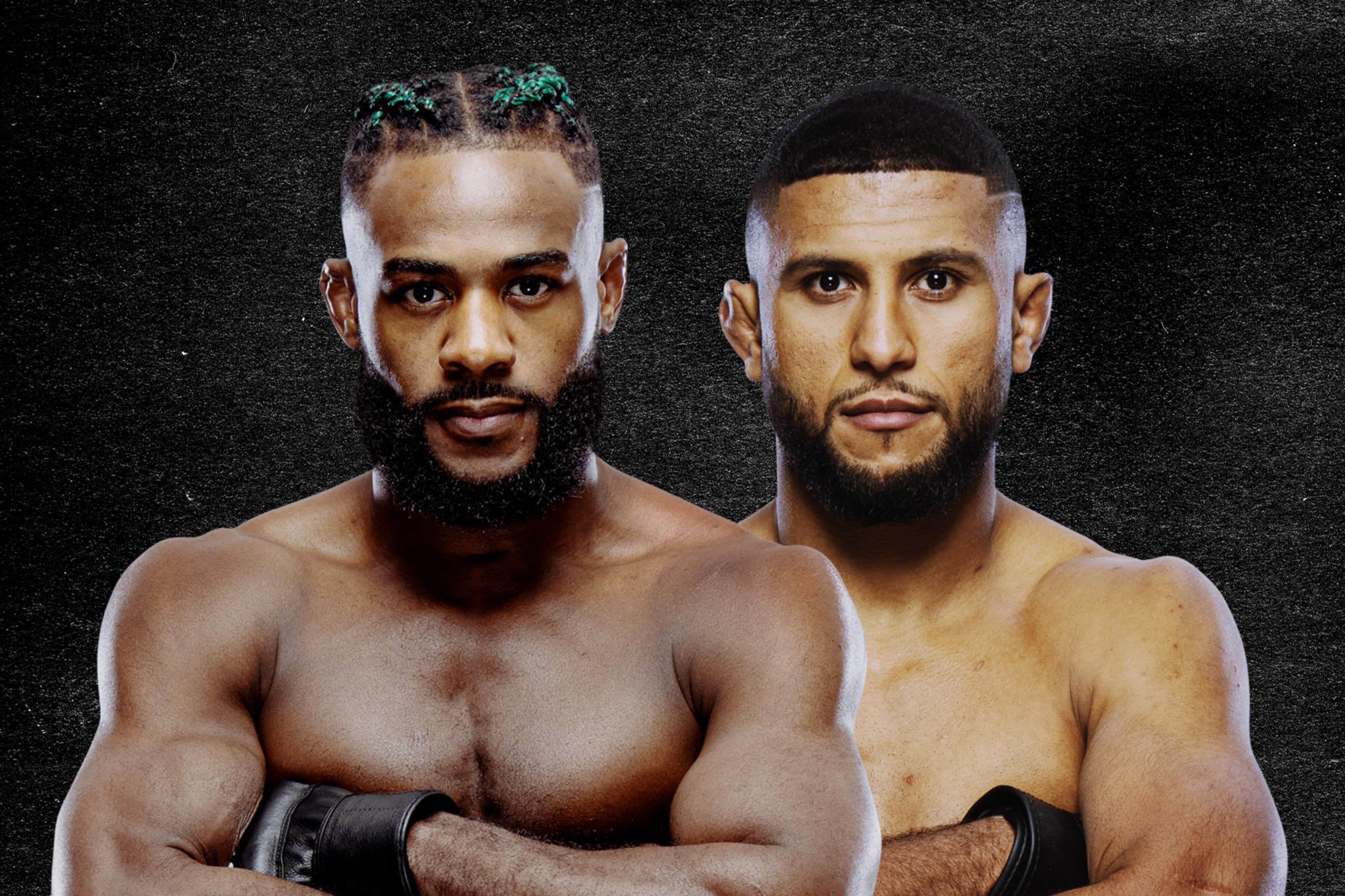 UFC Fight Night: Sterling vs. Zalal event art