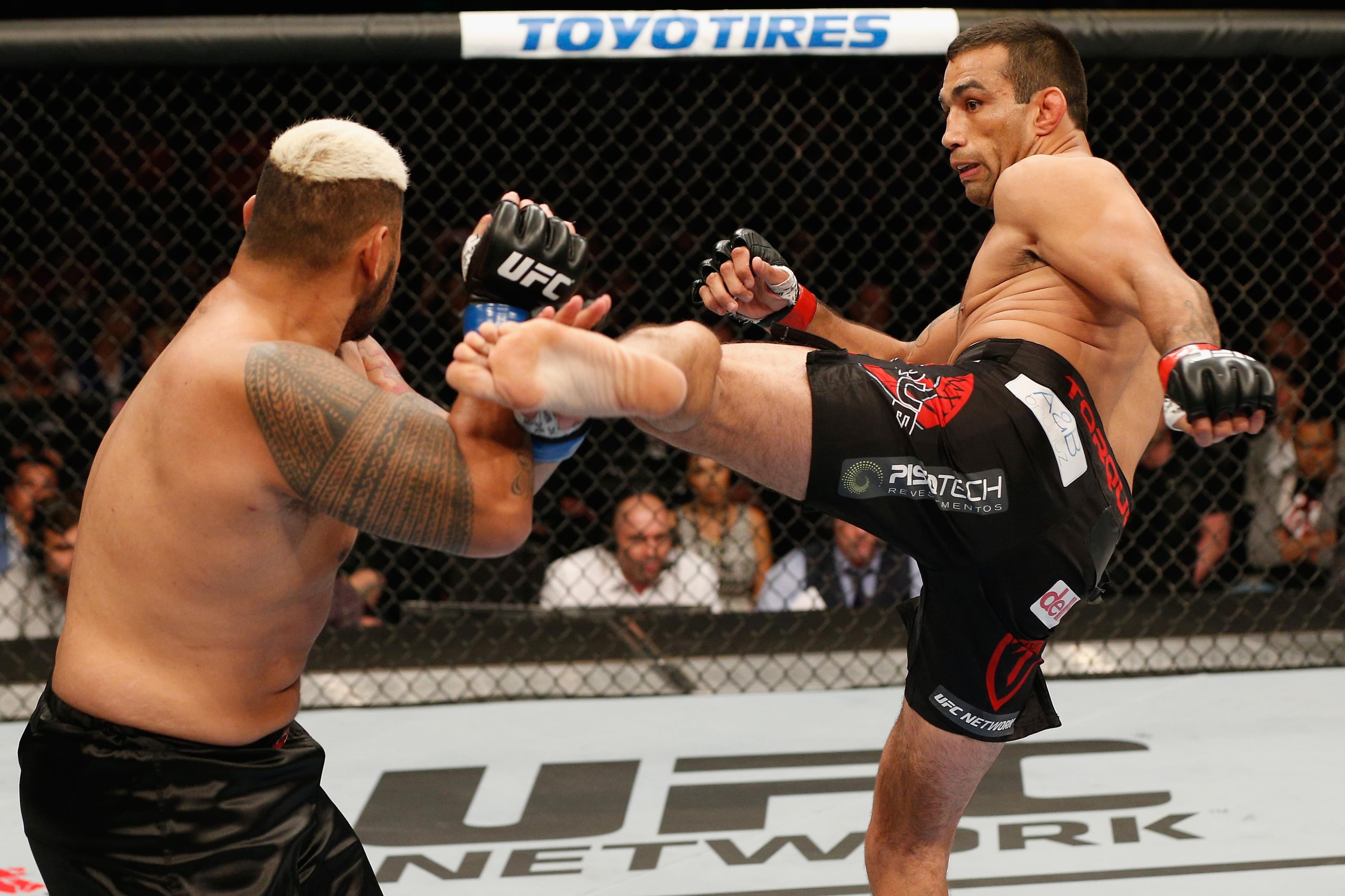 UFC 180: Werdum vs Hunt event art