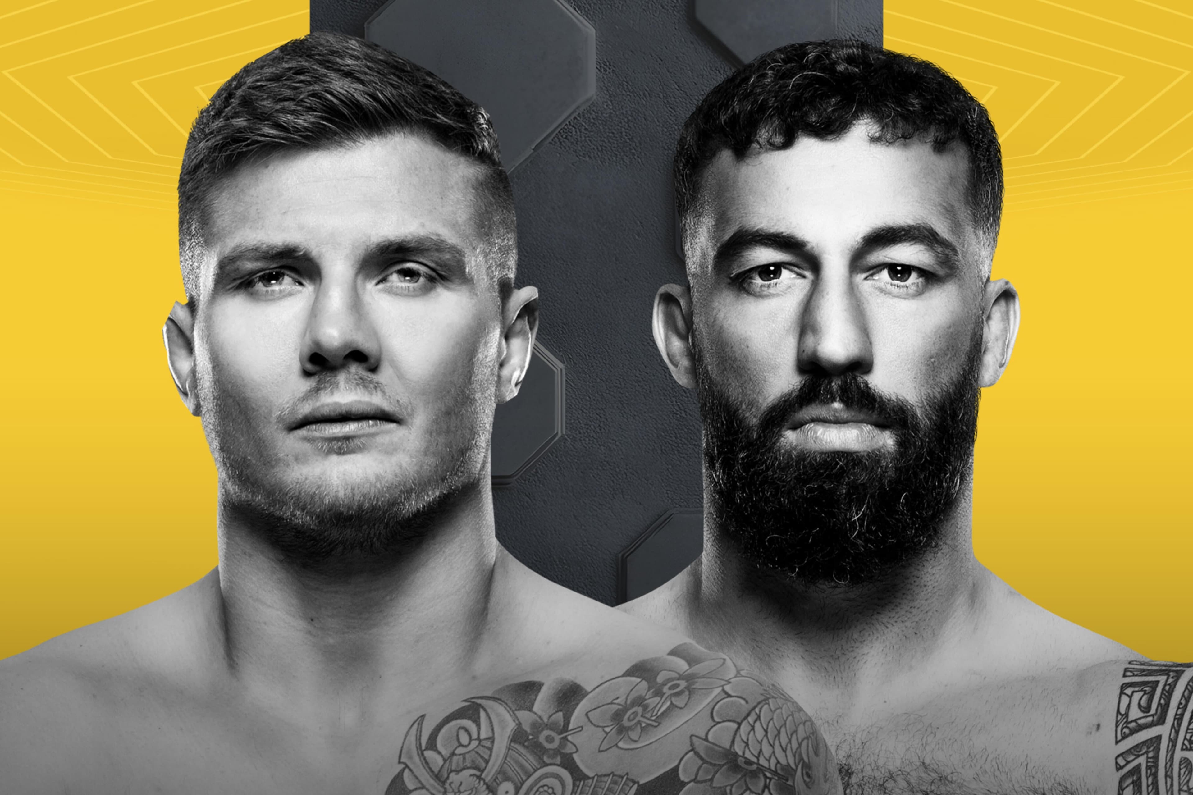 UFC Fight Night: Vettori vs. Dolidze 2 event art