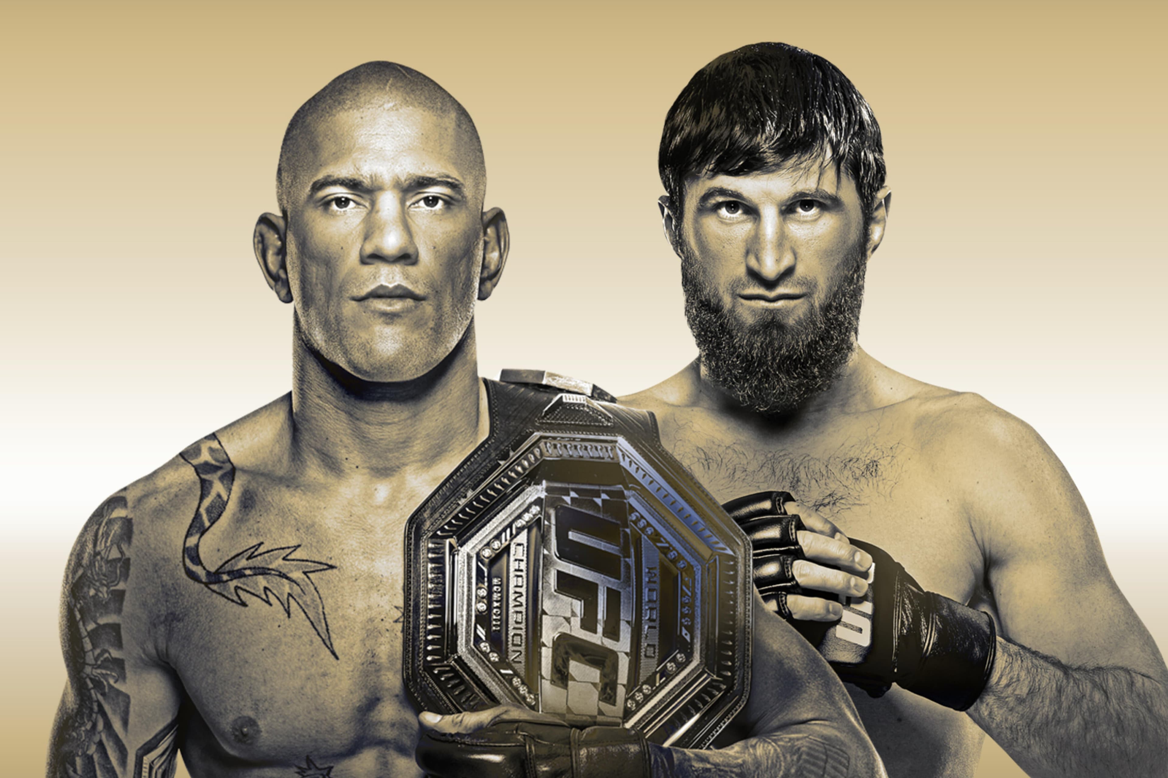 UFC 313: Pereira vs. Ankalaev event art
