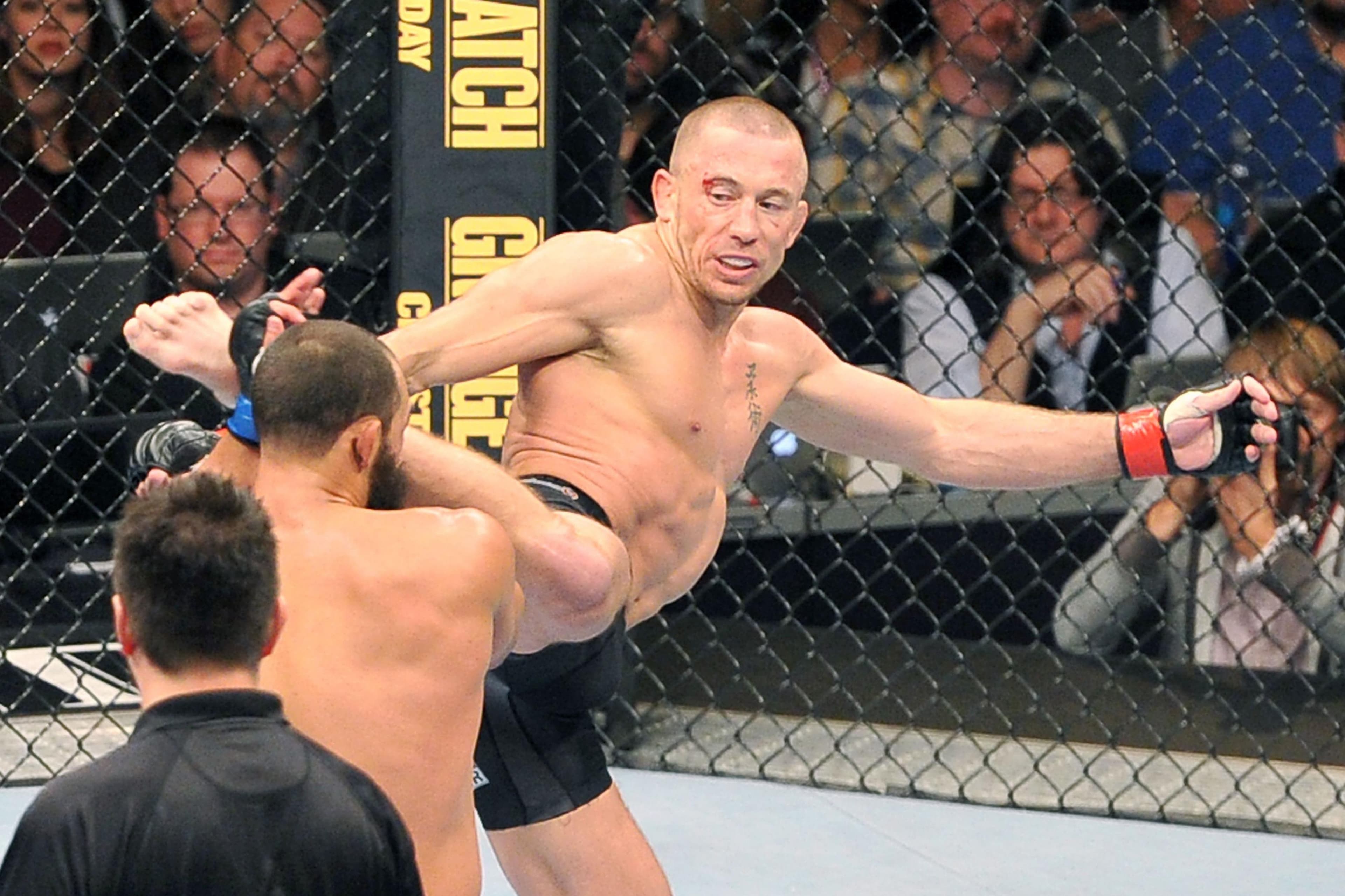 UFC 167: St-Pierre vs Hendricks event art