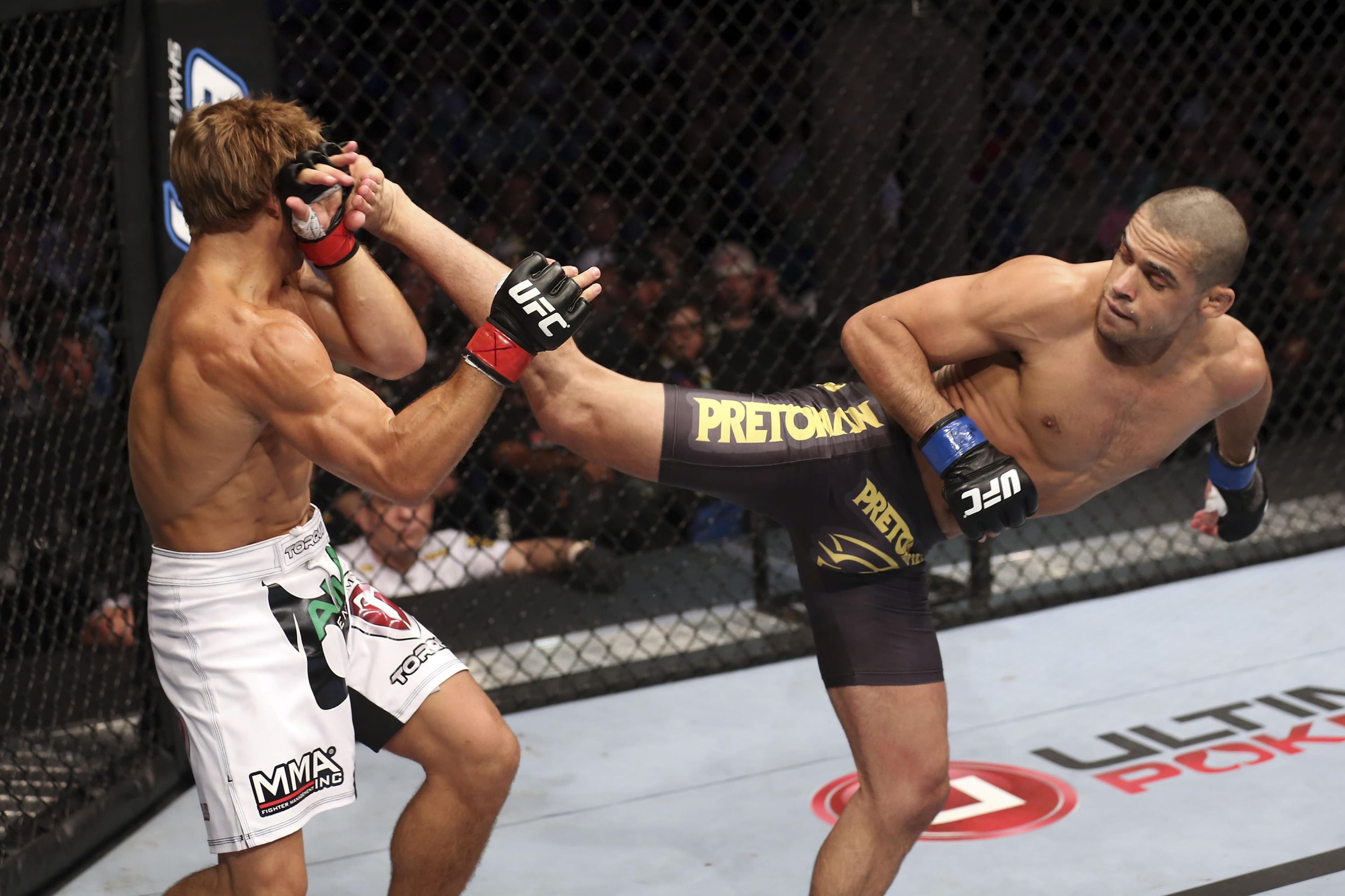 UFC 149: Faber vs Barao event art