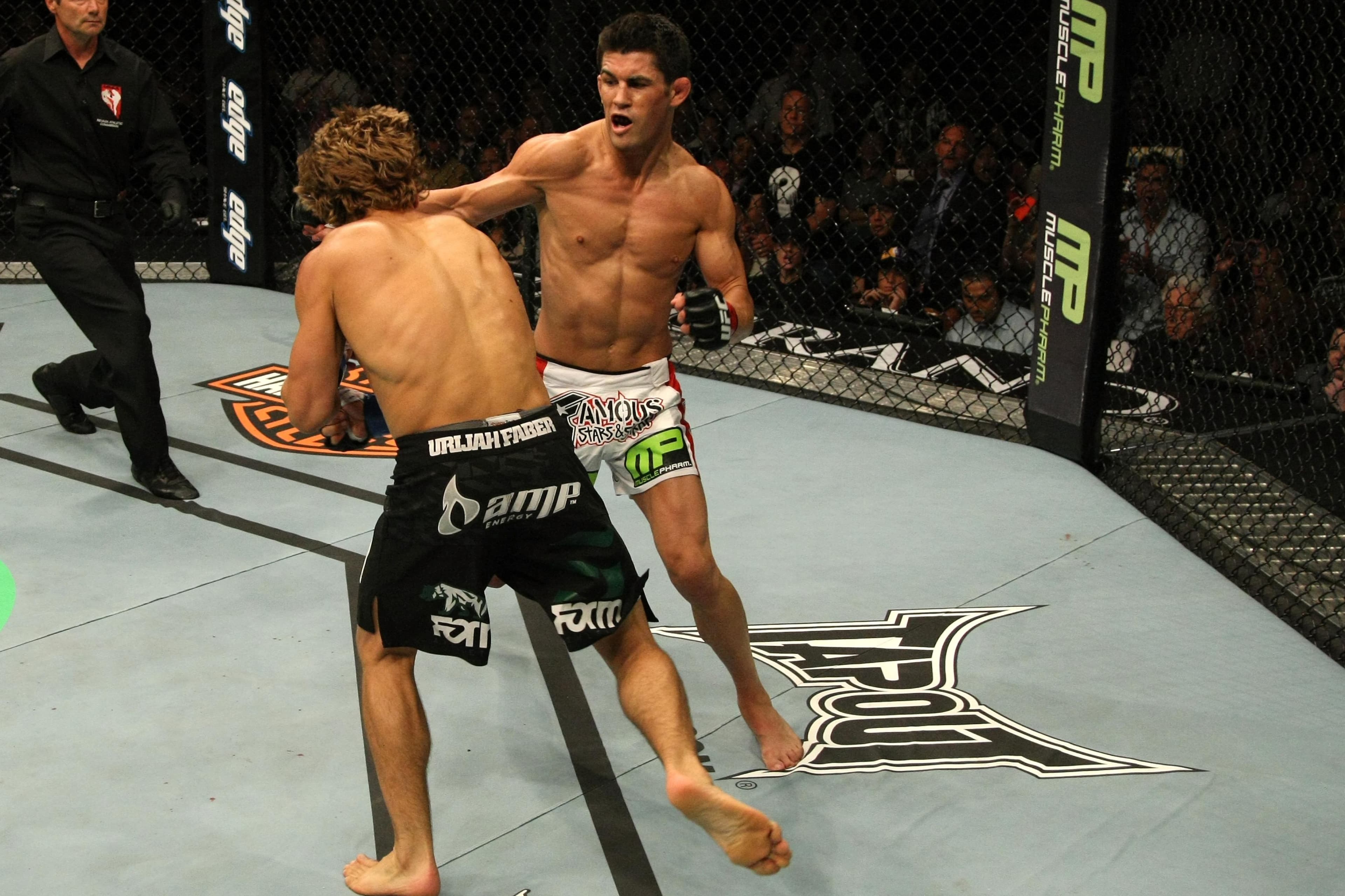 UFC 132: Cruz vs Faber event art
