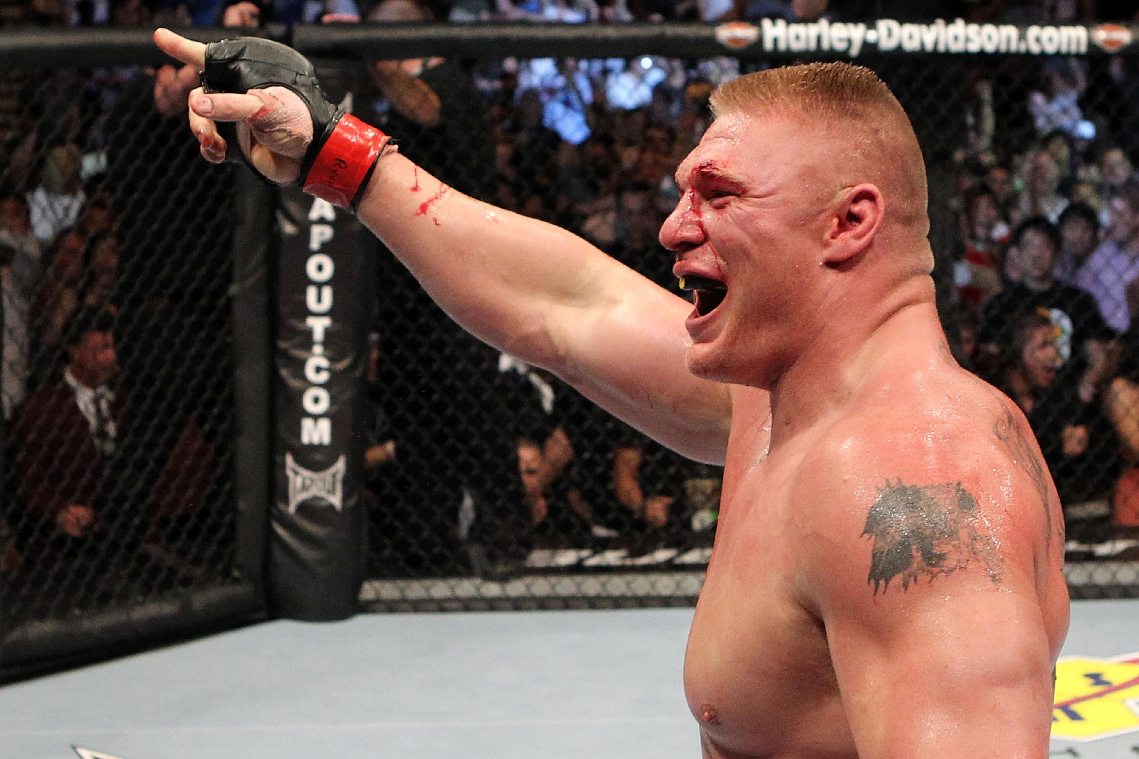 UFC 116: Lesnar vs Carwin event art