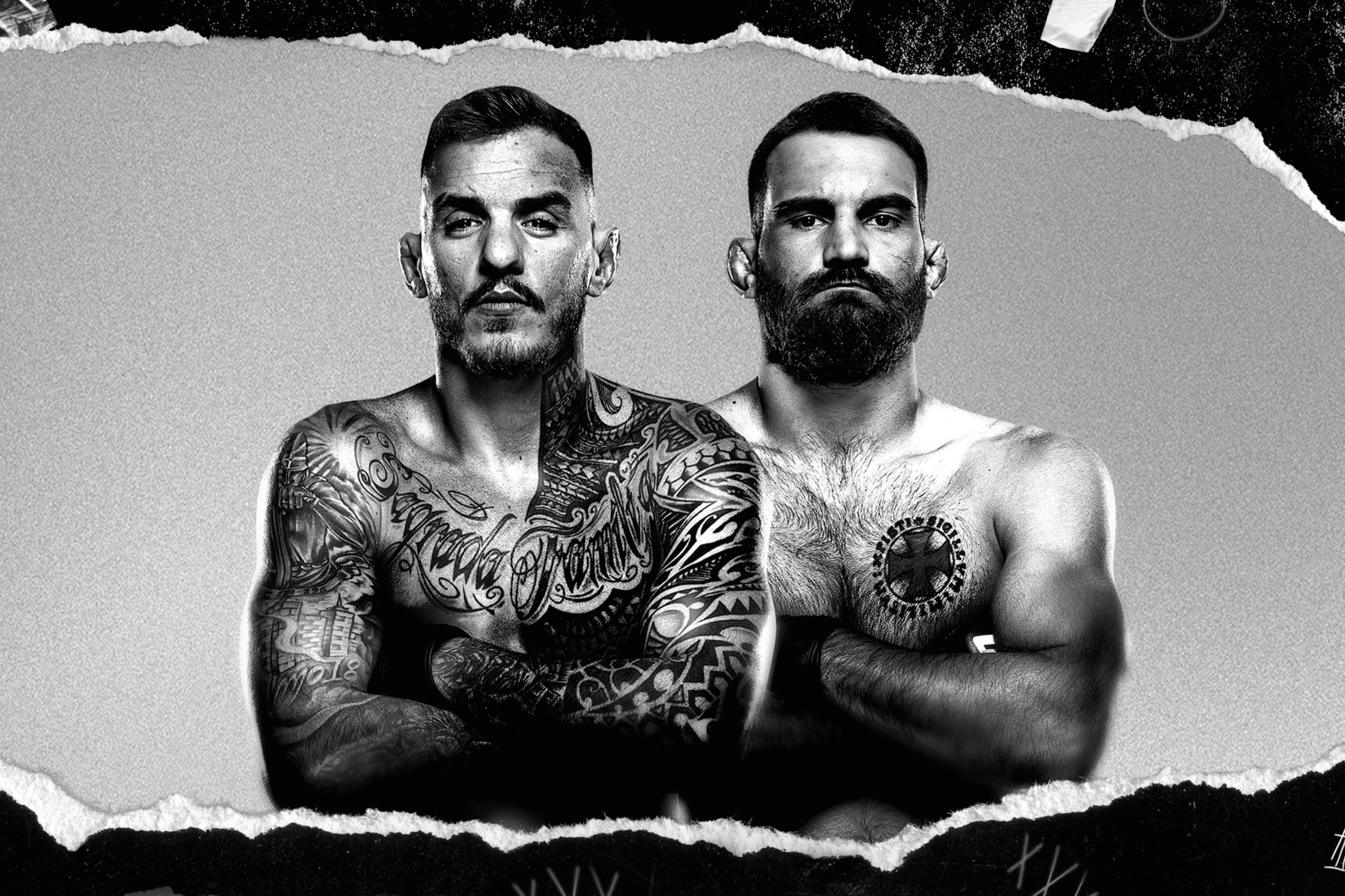 UFC Fight Night: Moicano vs. Saint Denis event art