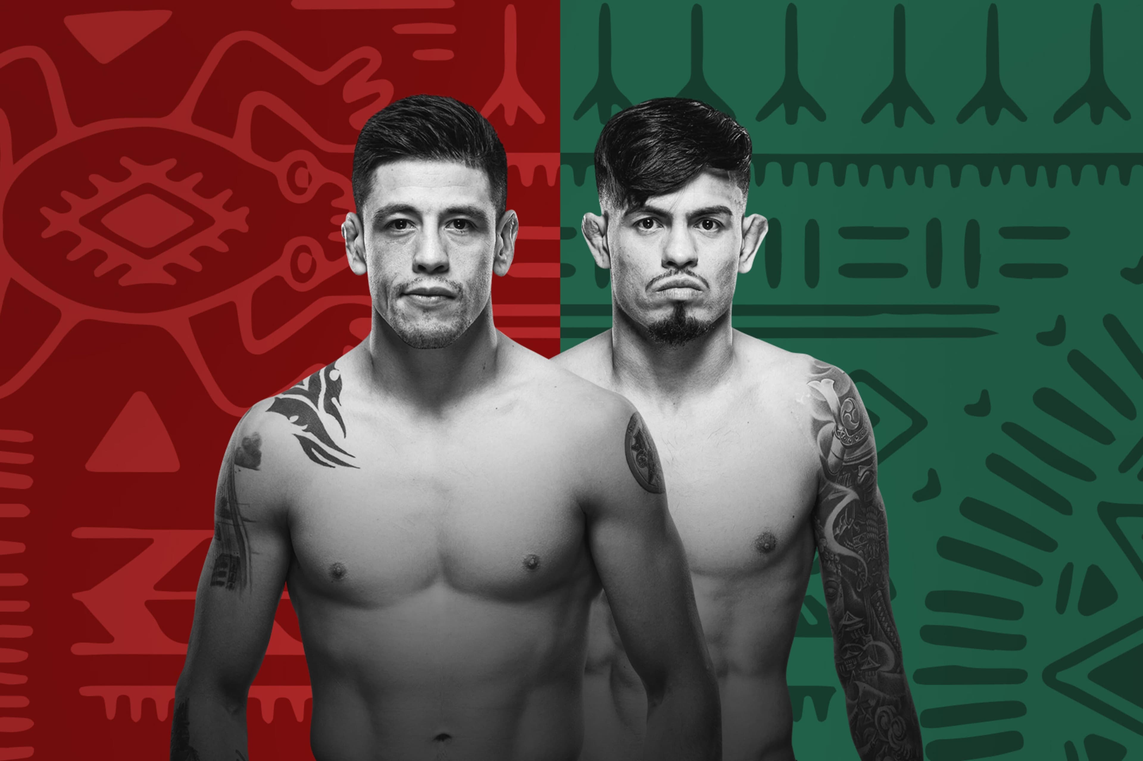 UFC Fight Night: Moreno vs. Royval 2 event art