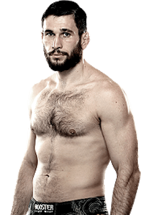 Amir Sadollah