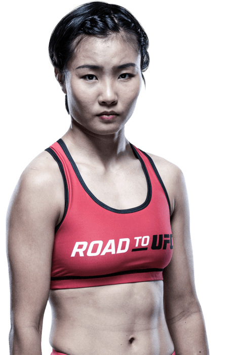 Feng Xiaocan