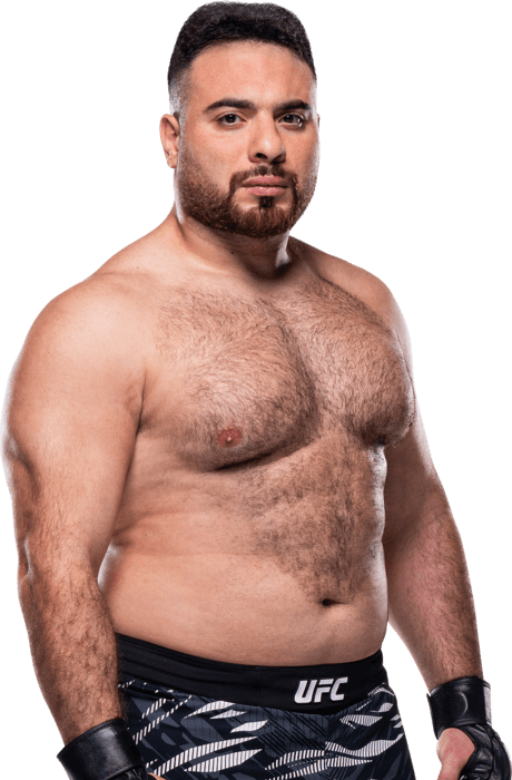 Hamdy Abdelwahab