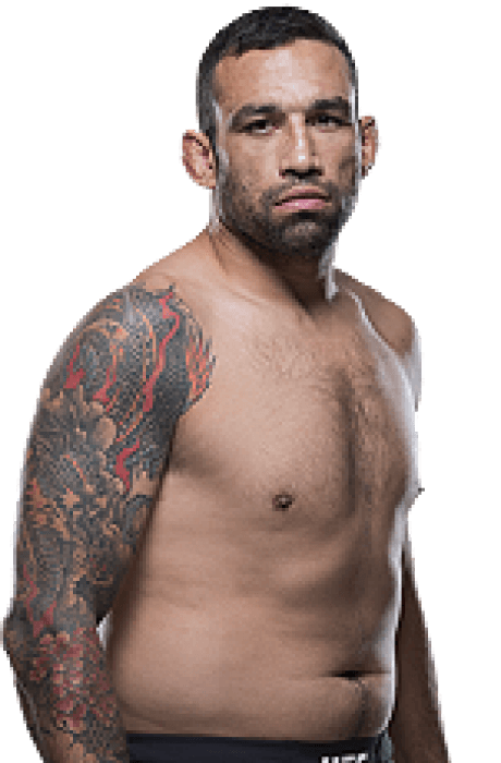 Fabricio Werdum